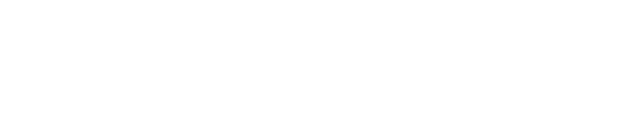 BNP Paribas logo
